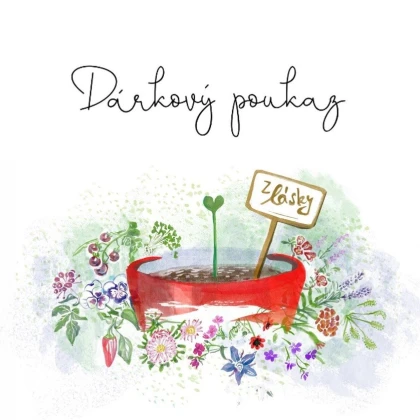 Voucher z lásky v hodnotě 1000,- Kč