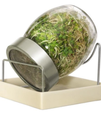 Sklenice na klíčení s keramickým podstavcem - Zdravý den - 1 ks