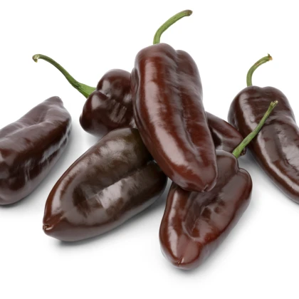 Paprika Sweet Chocolate - Capsicum annuum - semena papriky - 7 ks