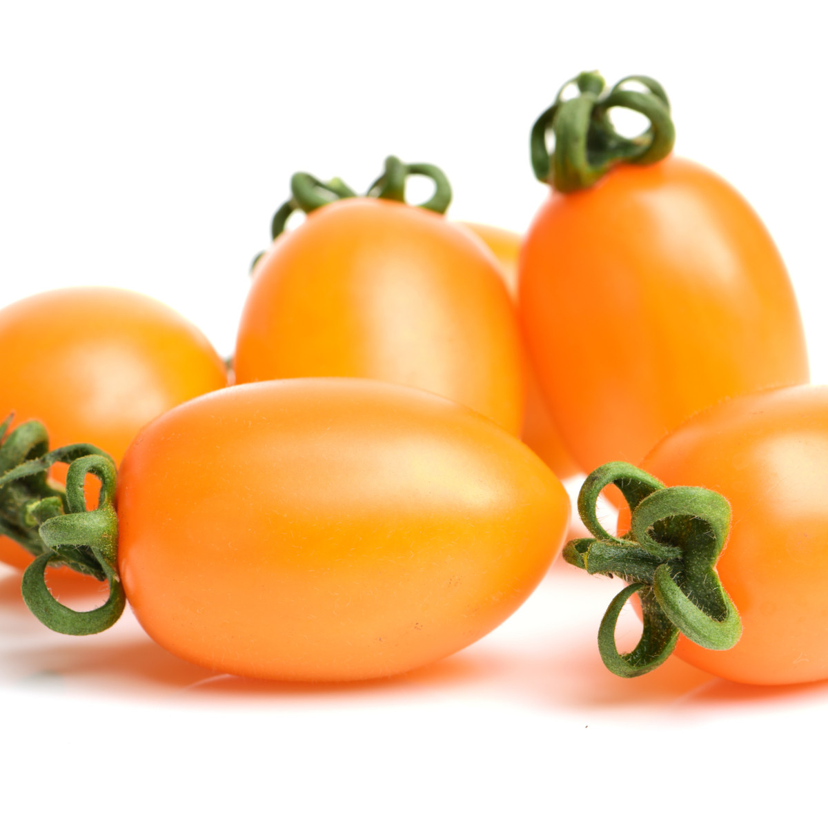 Rajče Datlo - Solanum lycopersicum - semena rajčete - 10 ks