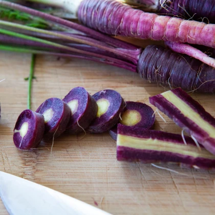 BIO Mrkev fialová Gniff - Daucus carota - bio semena mrkve - 400 ks