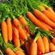 BIO Mrkev Laguna F1 - Daucus carota - bio semena mrkve - 200 ks