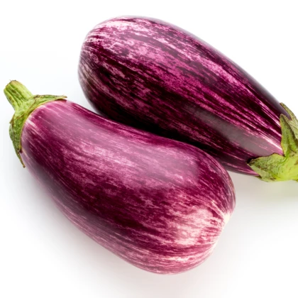 Lilek okrasný Tsakoniki - Solanum melongena - semena lilku - 10 ks