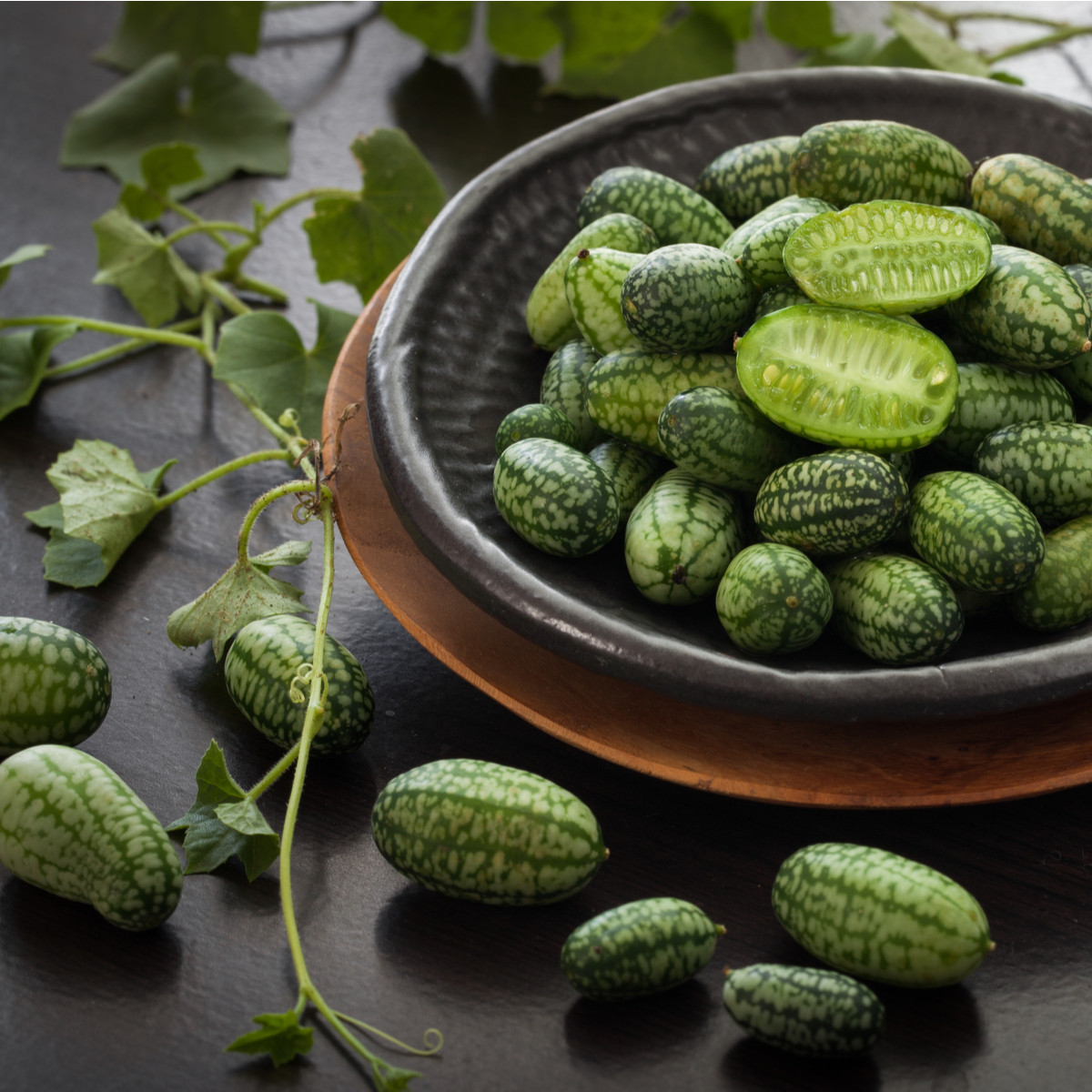 BIO Mexická mini okurka - Zehneria scabra - bio semena okurky - 5 ks