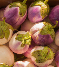 BIO Rosa Bianca padlizsán – Solanum melongena – bio padlizsánmag – 20 db