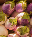 BIO Rosa Bianca padlizsán – Solanum melongena – bio padlizsánmag – 20 db