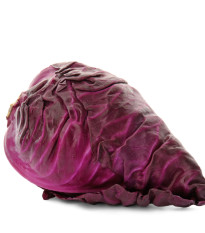 BIO Zelí červené Kalibos - Brassica oleracea capitata - bio semena zelí - 30 ks