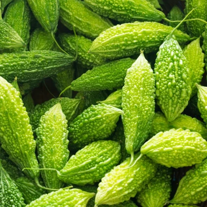 Hořká okurka Naja - Momordica sp. - semena okurky - 6 ks