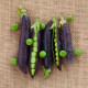 BIO Hrách Blauwschokker - Pisum sativum - bio semena hrachu - 25 ks