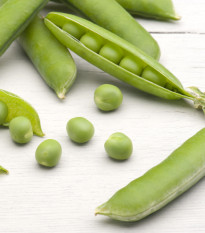 BIO Hrách dřeňový Gloriosa - Pisum sativum - bio semena hrachu - 50 ks
