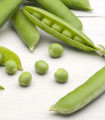 BIO Hrách dřeňový Gloriosa - Pisum sativum - bio semena hrachu - 50 ks