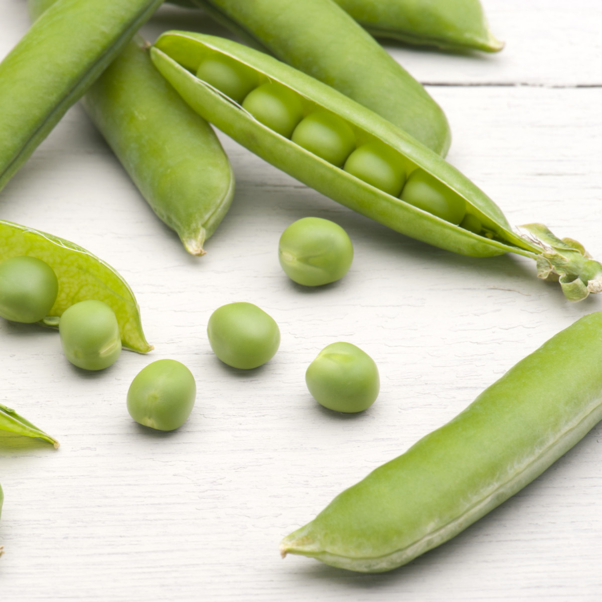 BIO Hrách dřeňový Gloriosa - Pisum sativum - bio semena hrachu - 50 ks