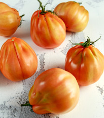 BIO Rajče Coure di Bue oranžové - Solanum lycopersicum - bio semena rajčete - 8 ks