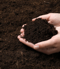 Substrát pro jahody a drobné ovoce - speciální substrát - 100 g