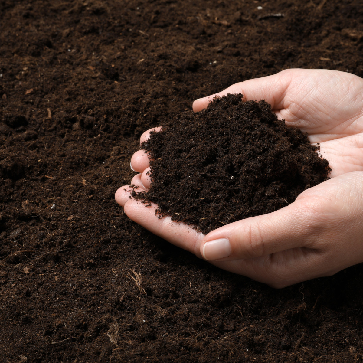 Substrát pro jahody a drobné ovoce - speciální substrát - 100 g