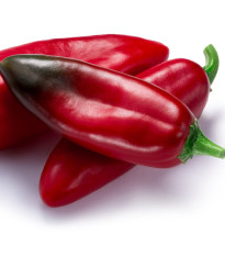 Chilli Anaheim - Capsicum annuum - semena chilli - 6 ks