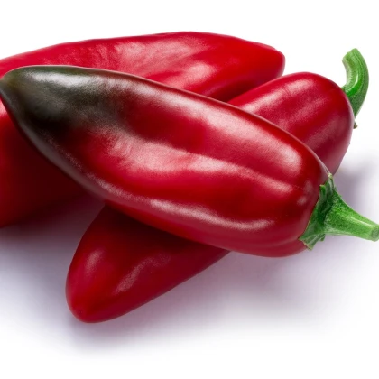 Chilli Anaheim - Capsicum annuum - semena chilli - 6 ks