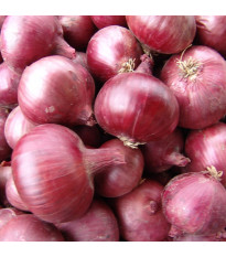 Cibule jarní červená Karmen - Allium cepa - semena cibule - 200 ks