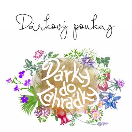 Dárkový voucher v hodnotě 750,- Kč