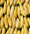 Chilli Lemon Drop - Capsicum baccatum - semena chilli - 7 ks