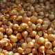 Csemegehagyma Yellow Moon - Allium cepa - hagymák - 250 g