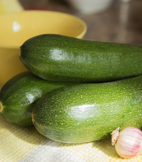 Cuketa Baccara F1 - Cucurbita pepo - semena cukety - 7 ks