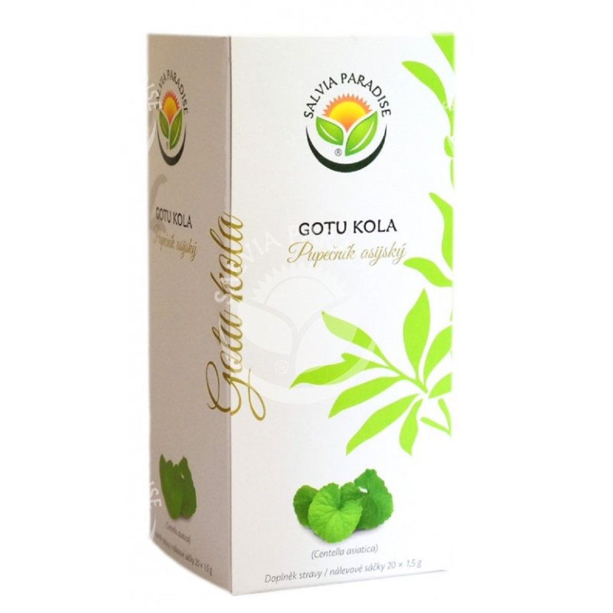 Gotu kola - Pupečník asijský - Centella asiatica - čajové sáčky - 20 x 1,5 g