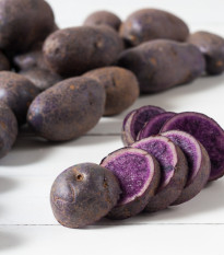 Sadbové burgonya Blaue St. Galler - Solanum tuberosum - burgonya - 5 db