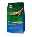 Trávník do stinných míst - semena Kiepenkerl - směs - 2 kg