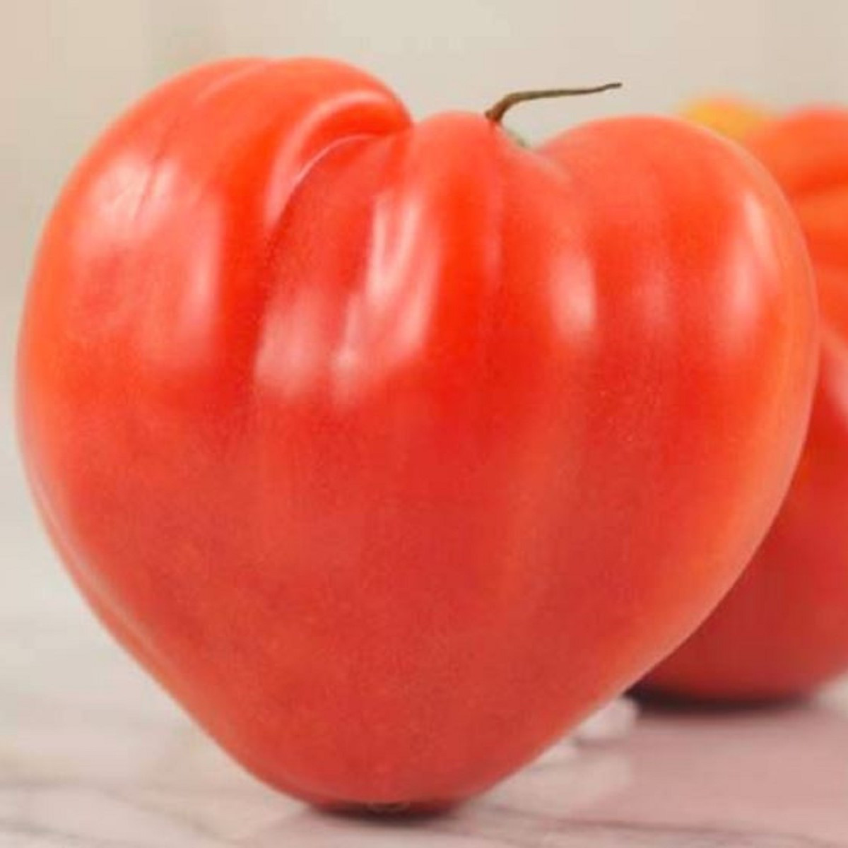 Rajče Oxheart Pink - Solanum lycopersicum - semena rajčete - 5 ks