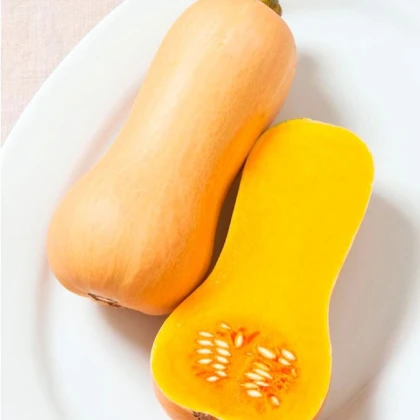 BIO Tykev muškátová Butterscotch F1 - Cucurbita moschata - bio semena tykve - 5 ks
