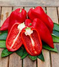 Paprika Snacking Red F1 - Capsicum annuum - paprika mag - 5 db