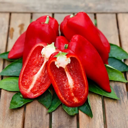 Paprika Snacking Red - Capsicum annuum - semena papriky - 5 ks