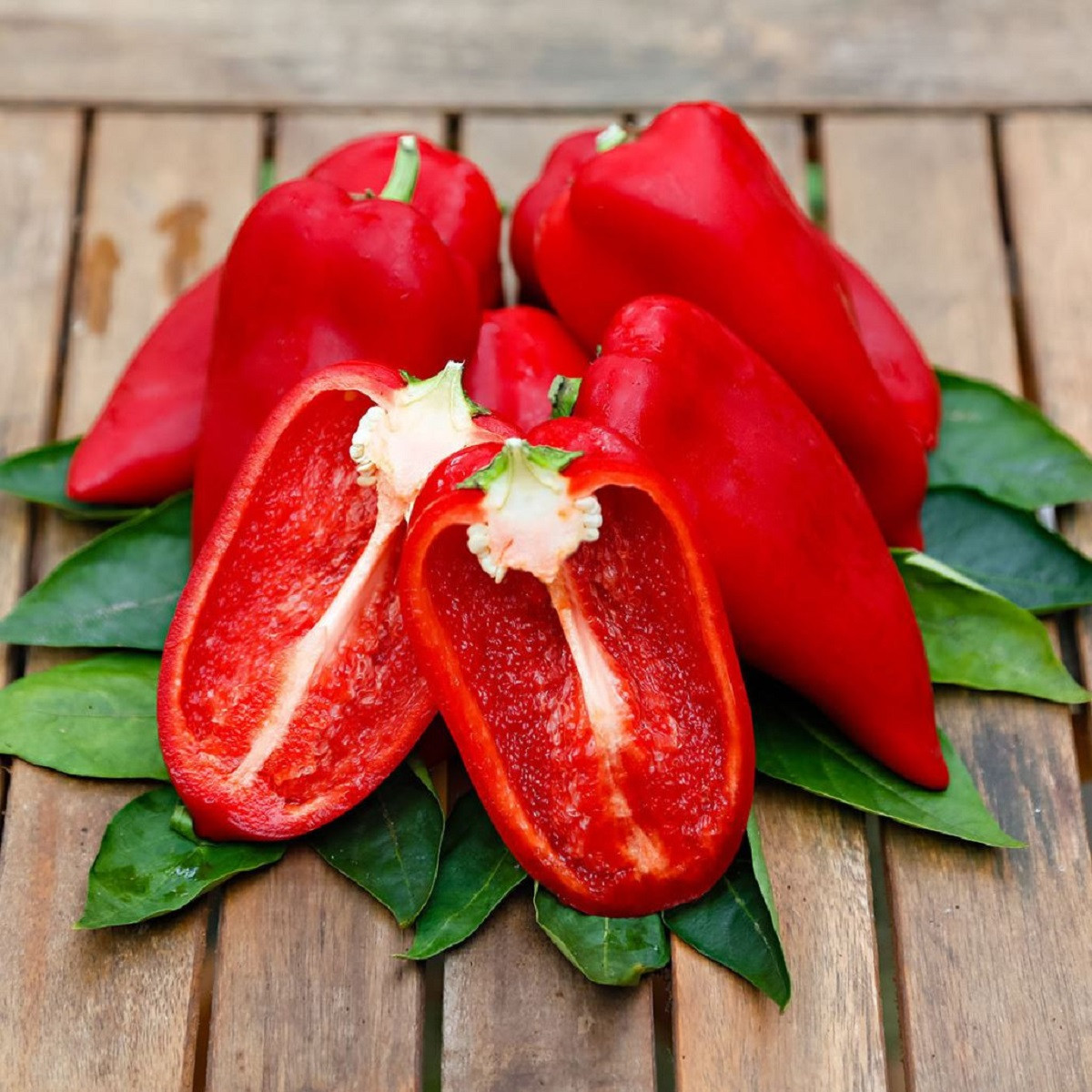 Paprika Snacking Red F1 - Capsicum annuum - paprika mag - 5 db