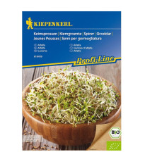 BIO Alfalfa - Vojtěška - Medicago sativa - bio semena na klíčení - 40 g