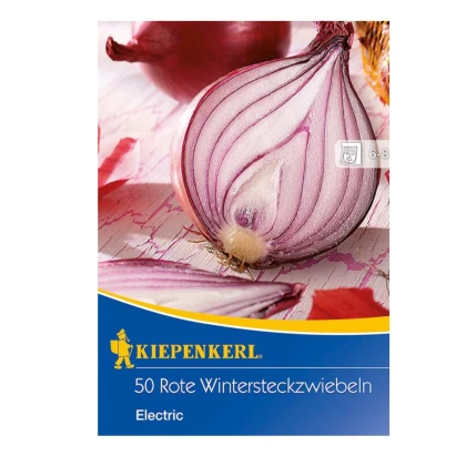 Cibule sazečka červená Electric - Allium cepa - cibulky - 50 ks