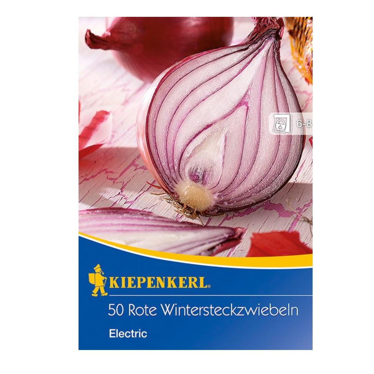 Cibule sazečka červená Electric - Allium cepa - cibulky - 50 ks