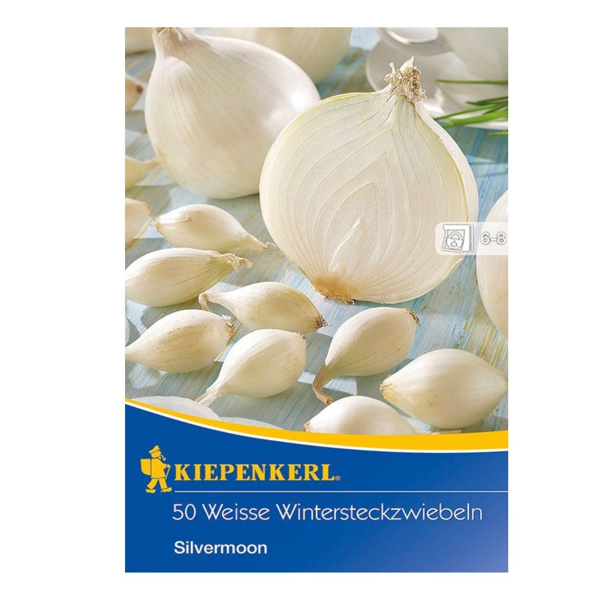 Cibule sazečka Silvermoon - Allium cepa - cibulky - 50 ks