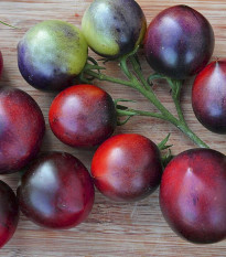 BIO Rajče Indigo Blue Berries - Solanum lycopersicum - bio semena rajčete - 7 ks