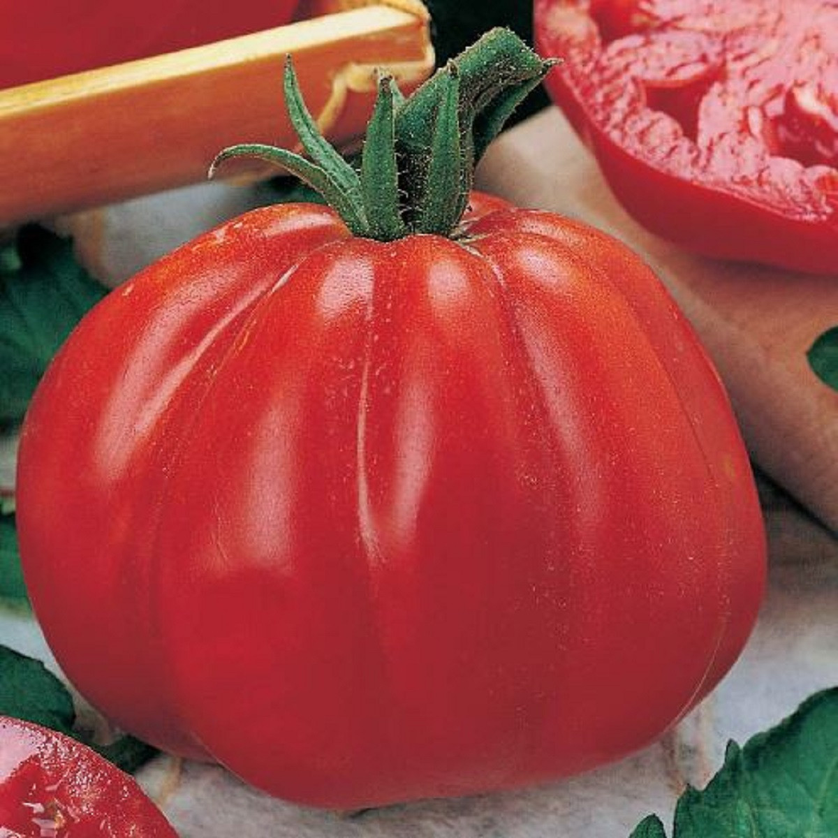 Rajče Coure di Bue - Solanum lycopersicum - semena rajčete - 10 ks