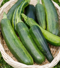 BIO Cuketa Zuboda - Cucurbita pepo - bio semena cukety - 8 ks