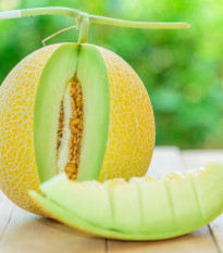 BIO Meloun Arava Galia F1 - Cucumis melo - bio semena melounu - 6 ks
