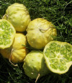 Kiwano Jelly Rund - Cucumis metuliferus - semena kiwana - 8 ks