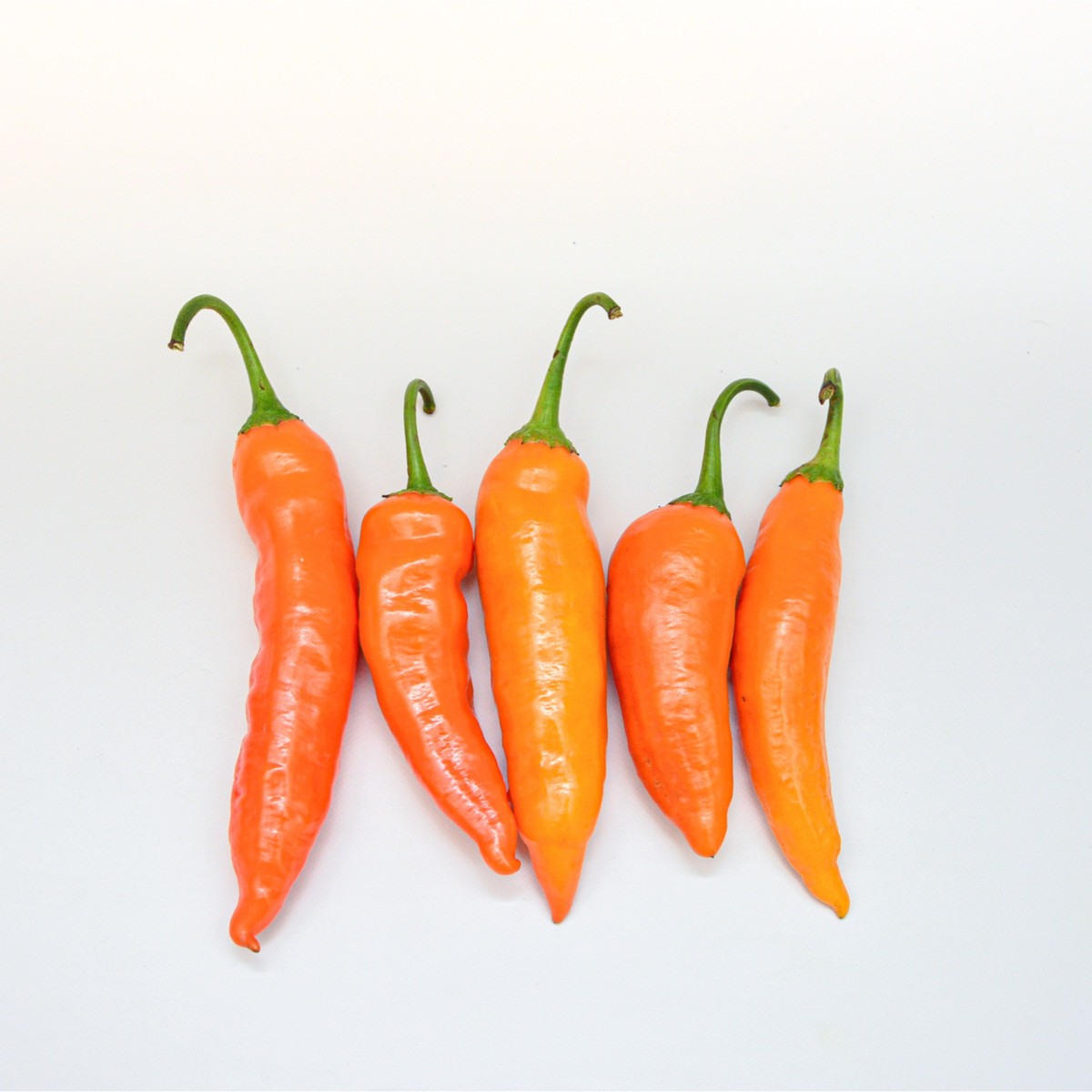 Chilli Aji Amarillo - Capsicum annuum - semena chilli - 7 ks