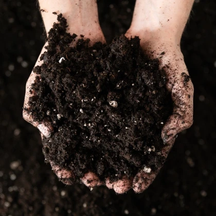 Substrát pro borůvky a brusinky - speciální substrát - 100 g