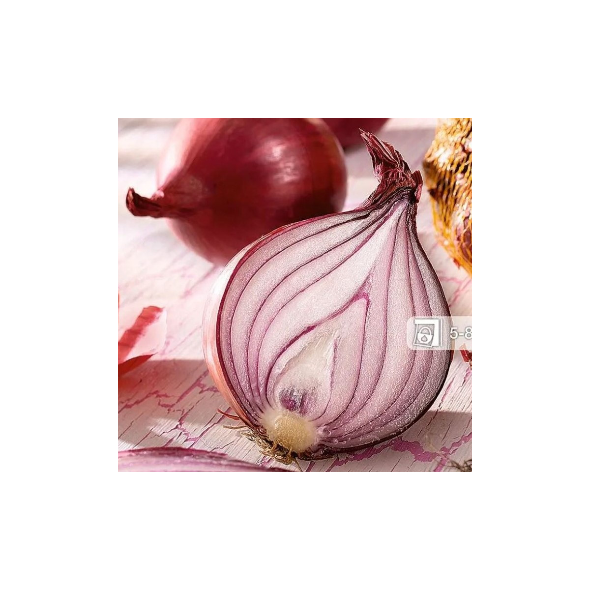 Cibule sazečka zimní Rote Winter - Allium cepa - cibulky - 50 ks