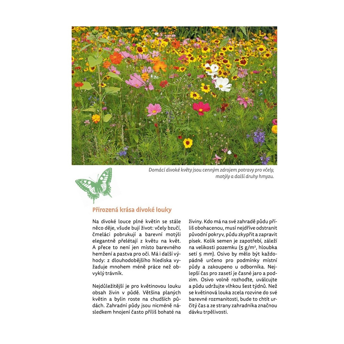 Zahrada plná života - ukázka z knihy