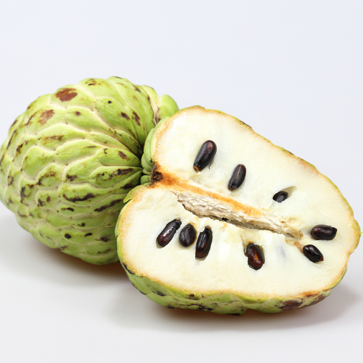 Anona šupinatá - Láhevník - Annona squamosa - semena anony - 5 ks