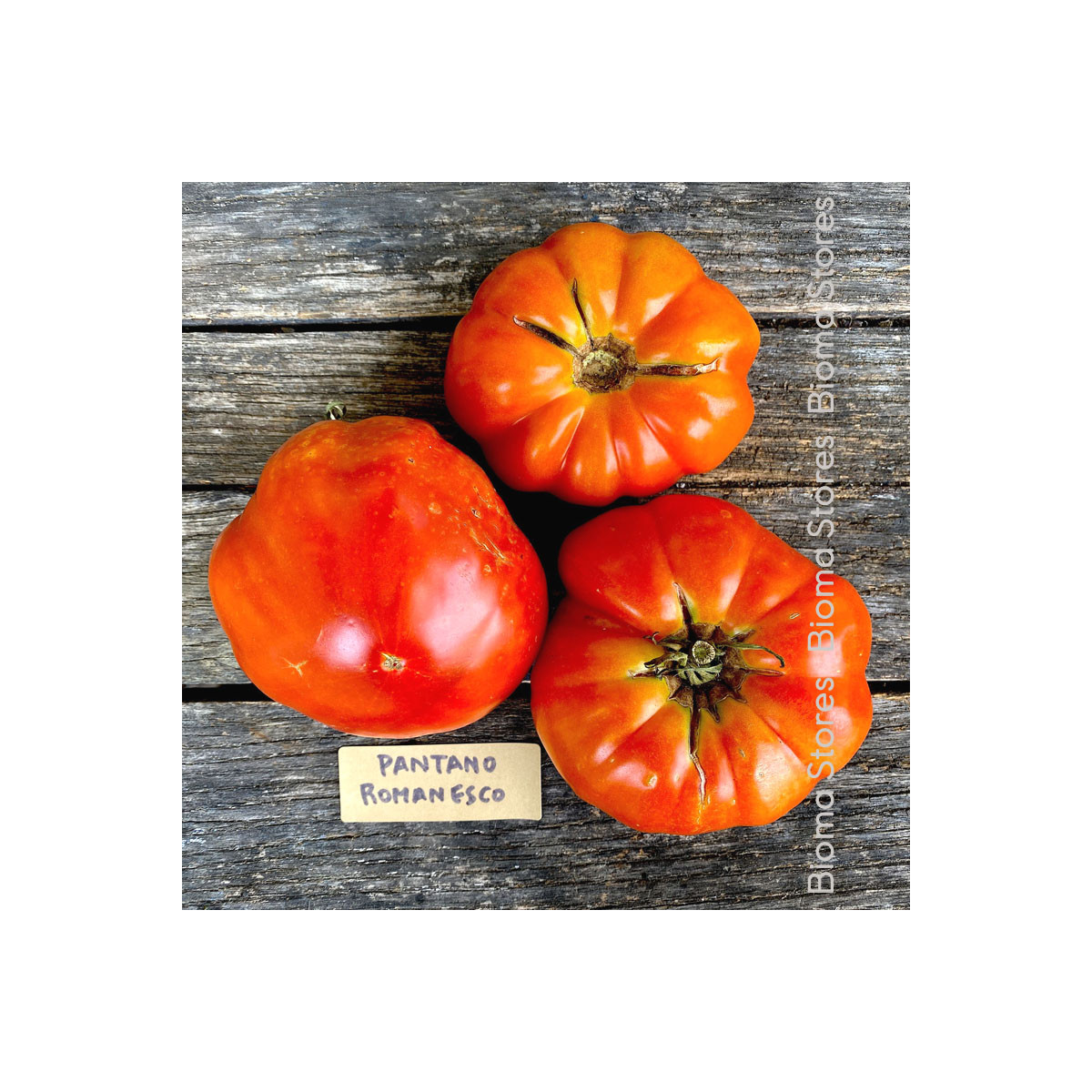 Rajče Pantano Romanesco - Solanum lycopersicum - semena rajčete - 7 ks