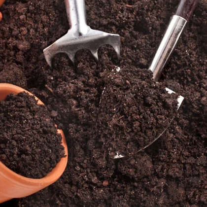 Substrát pro pokojové rostliny - speciální substrát - 100 g